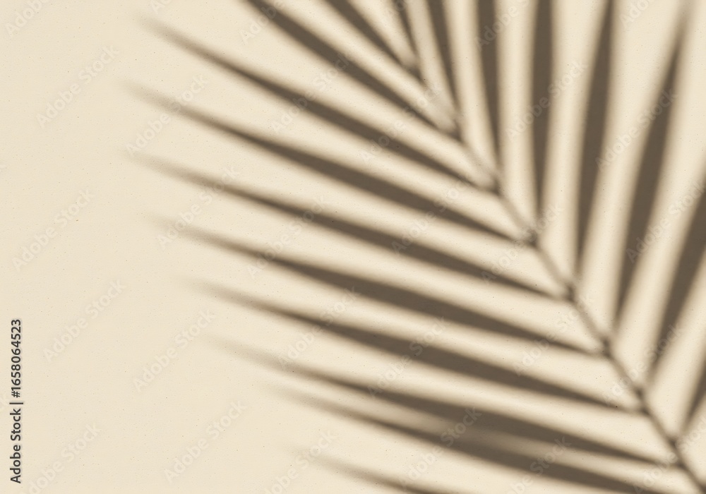 Fototapeta premium Palm leaf shadow on a textured beige background
