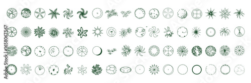 Top View Vector Icons of Trees and Plants for Floor Plan and Architectural Design Projects	