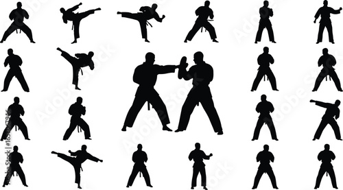 Set of 21 martial arts silhouette icons in varied poses for sports, training, and action designs