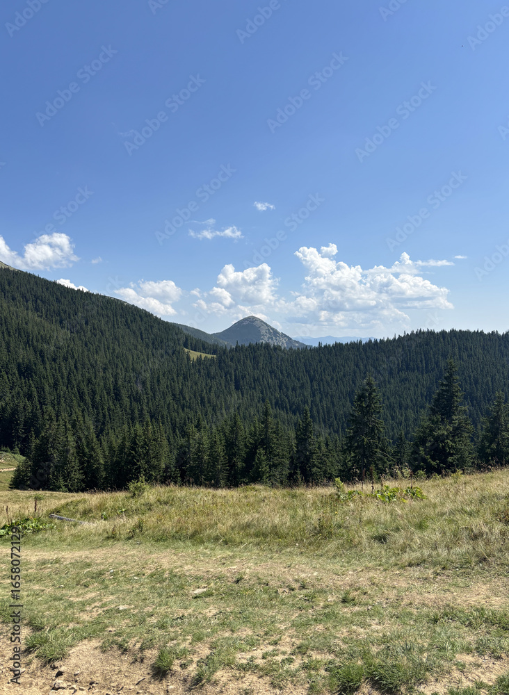 Obraz premium Majestic panoramic view of the green Carpathian Mountains on a clear summer day