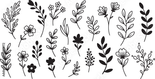 Black and White Hand Drawn Floral Botanical Elements vector illustration