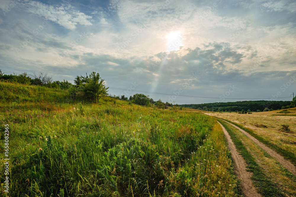 Obraz premium A dirt road winds through a field of lush green and dry golden grasses, with the sun creating a brilliant lens flare through the cloudy sky, highlighting the rural scene.