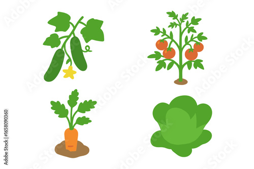 Isometric flat vector icon set of vegetable garden assortment including cucumber vine with leaves, tomato plant with fruit, fresh organic vegetables, gardening symbols, farming elements