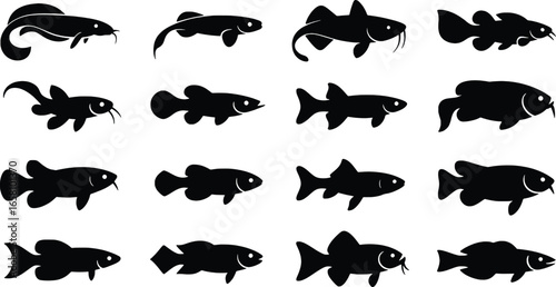 Collection of silhouette aquarium fish species on white background