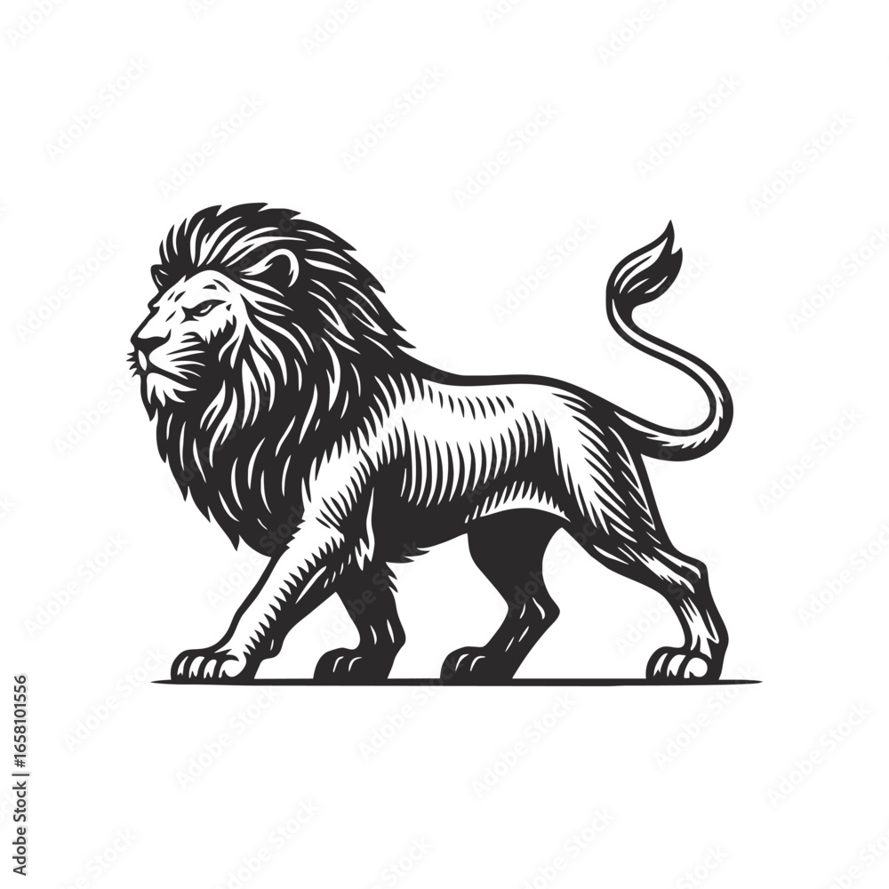 Fototapeta premium These vintage engravings depict a powerful lion and a calm cow, both shown in profile.