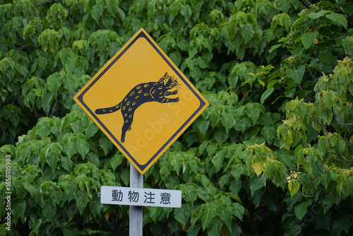 沖縄県_西表島_イリオモテヤマネコ注意喚起