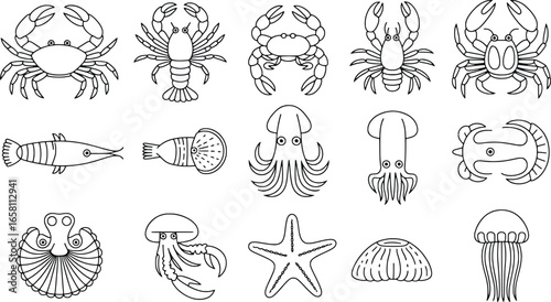 Collection of hand drawn marine life illustrations in black and white