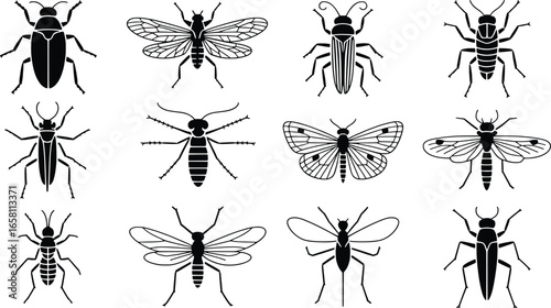 Collection of detailed insect silhouettes on white background