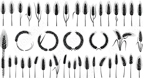 Wheat Silhouette Vector Set, Agricultural Icons, Ear of Wheat Bundle, Harvest Design, Black Isolated Clipart for Logos and Labels