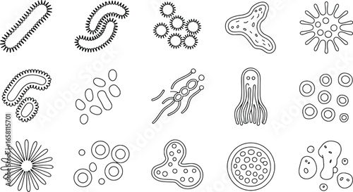 Collection of hand drawn scientific illustrations of various microorganisms and bacteria