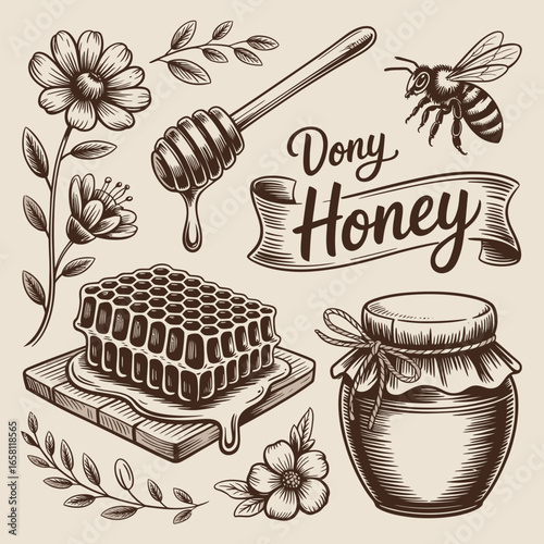 honey, bee, beekeeping, hive, honeycomb, jar, dipper, nectar, floral, vintage, illustration, drawing, sketch, natural, sweet, organic, raw, golden, syrup, nature, insect, flower, pollination, outline,