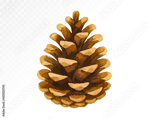 Brown pinecone watercolor illustration with golden highlights, ideal for Christmas decor, rustic designs, winter invitations, and cozy seasonal projects. Vector illustration.