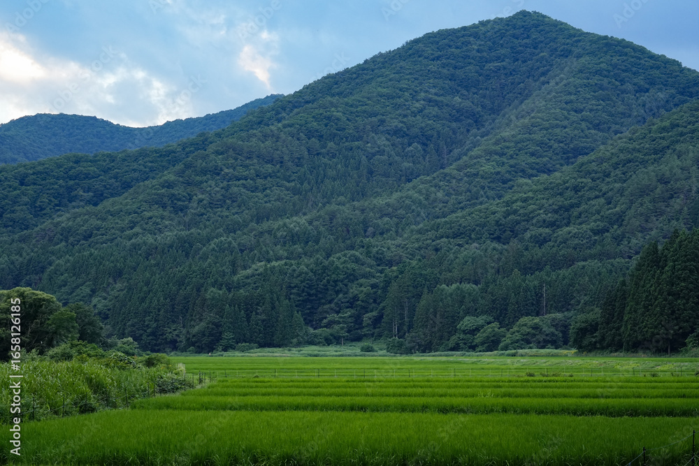 Fototapeta premium 福島県_南会津町_田園風景