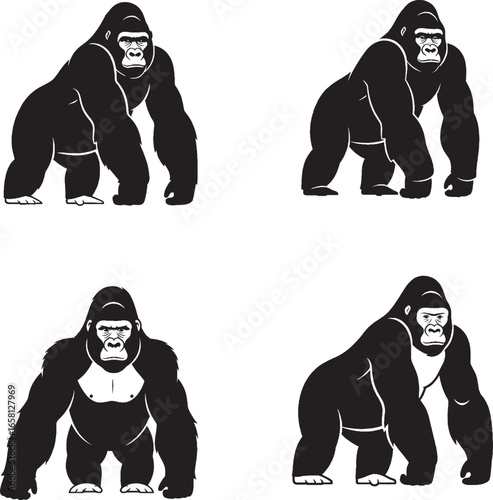 Wallpaper Mural "Set of 4 Gorilla Silhouettes | Stylized Black & White Primate Icons in Dynamic Poses" Torontodigital.ca