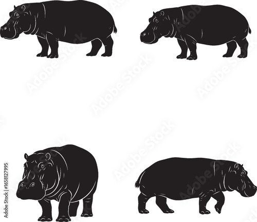 Wallpaper Mural "Set of 4 Hippopotamus Silhouettes | Stylized Black Safari Animal Icons in Natural Poses" Torontodigital.ca