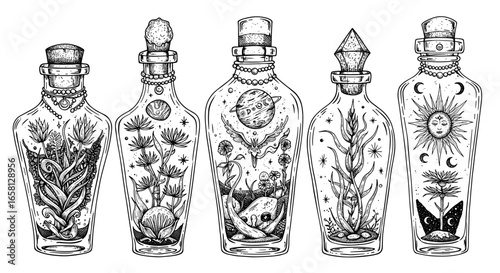 Enchanting botanical potion bottles with celestial and nature elements