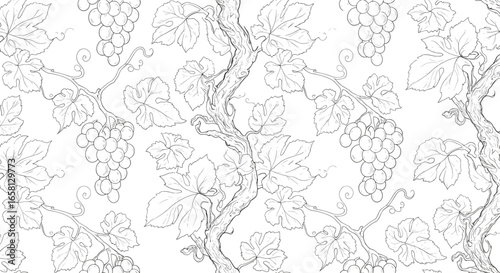 Seamless pattern of grapevines with clusters and leaves in detailed sketch style