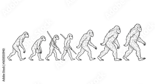 Evolution of humanity stages in linear style