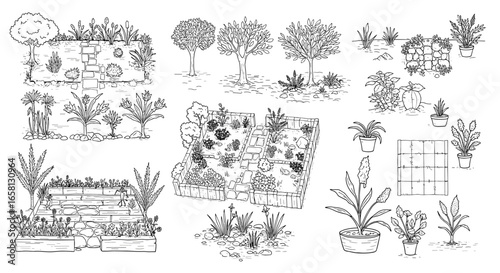Garden layouts and plant arrangements in detailed black and white drawings