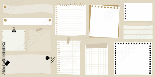 Assortment of Torn Paper Notes and Stationery Elements on Beige Background ripped