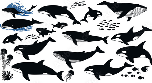 Marine creatures silhouette set featuring whales, orcas, fish, and jellyfish with ocean elements