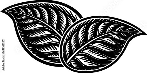 Two stylized leaves with intricate vein details in a bold black and white graphic design style image