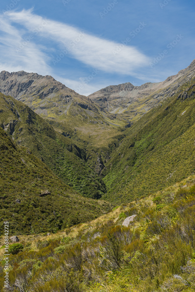 Obraz premium ニュージーランド アーサーズ・パス国立公園のオティラ・バレー・トラックからの風景