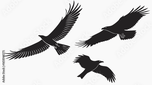 Three black silhouette eagles in flight with wings spread wide against a white background