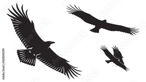 Three black silhouette eagles soaring gracefully through the sky with wings spread wide