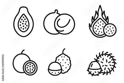 Tropical fruit icon set. Outline line art collection of exotic fruits like papaya, coconut, dragon fruit, pitaya, passionfruit, lychee, rambutan. Healthy food vector symbols.