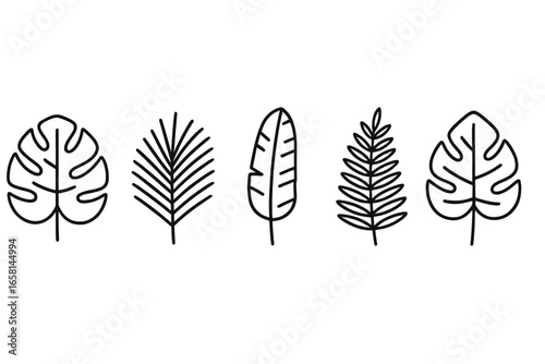 Tropical leaf line icon set. Vector collection of exotic jungle plants. Botanical outline graphics of monstera, palm frond, banana, fern, philodendron for design.