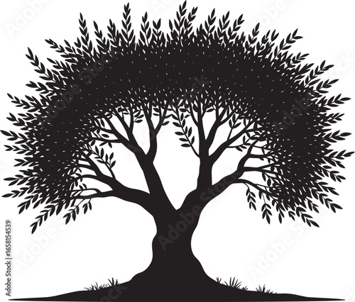 Olive Tree Silhouette Vector Illustration on Transparent Background for Design Projects