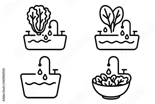 Washing leafy greens icon set. Rinsing fresh lettuce head and spinach leaves in a sink with running water. Food safety, hygiene, and kitchen preparation concepts. Healthy food vector icons.