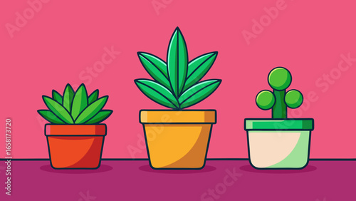 Three Potted Plants Illustration. three different cartoon-style plants in different colored pots against a dark pink background vector illustration.