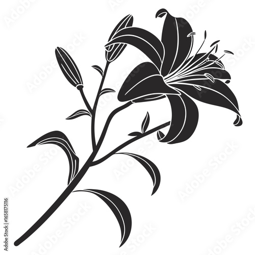 Graceful Lily Blossom Floral Concept Art
