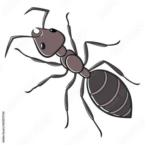 Brown ant insect illustration on white