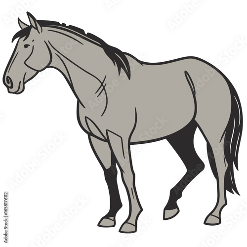 Majestic Horse Illustration