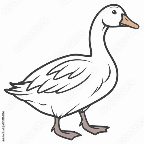 White Goose Illustration Simple Design