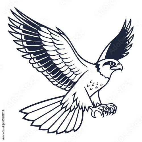 Powerful Hawk Bird in Mid-Flight