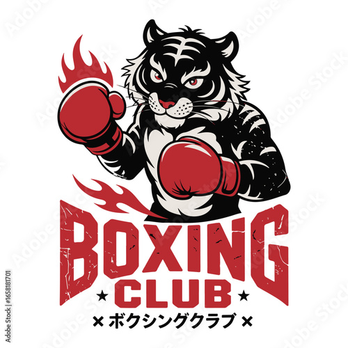 A fierce tiger mascot with red boxing gloves and flames for a boxing club or gym sports team emblem vector illustration design