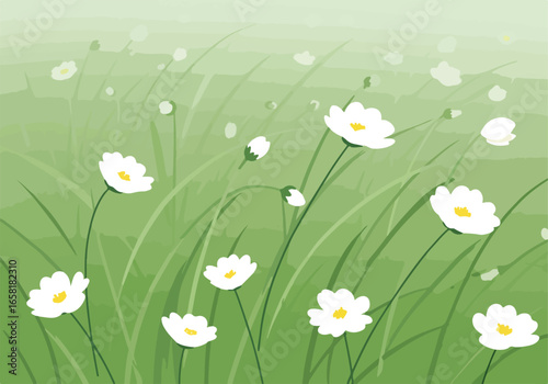 Daisies in the Grass Meadow flowers blowing gently in the field; banner, background
