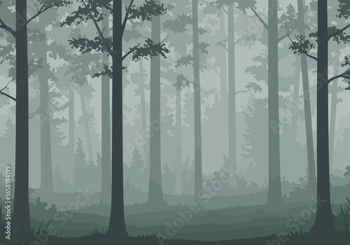Atmospheric illustration of woodland scene with fog in the distance for presentations