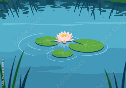 Water Lily on pond with reeds reflected in water.  For serenity, peace, relaxation