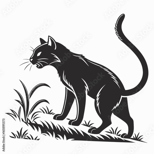 Black Cat Walking In Grass Illustration
