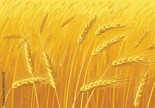 Graphic golden wheat field. Crop background.  Poster, web, advertising use