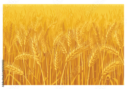 Golden wheat field blowing in wind. Backdrop for agriculture or food promotions
