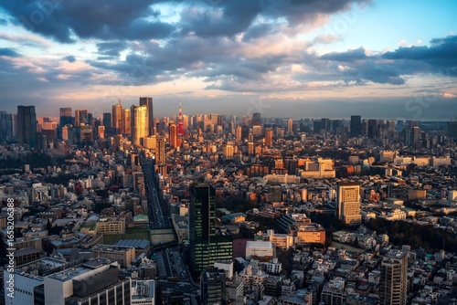 Photography Tokyo cityscape at sunrise - spectacular aerial view with dramatic sky and urban