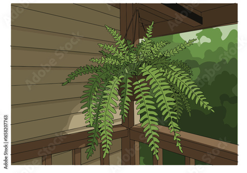 Hanging Fern Decorates Porch, Overlooking Forest. Use for Outdoor or Indoor Design