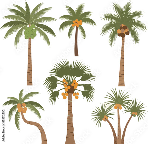 
Create a kinds of deferent coconut tree vector art with white background.