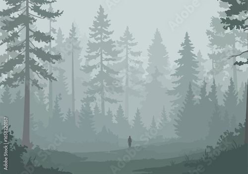 Person walks in foggy woods with forest silhouette background for book covers